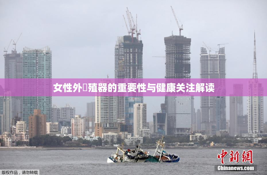 女性外夝殖器的重要性与健康关注解读