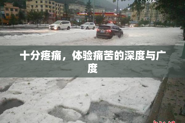 十分疼痛，体验痛苦的深度与广度