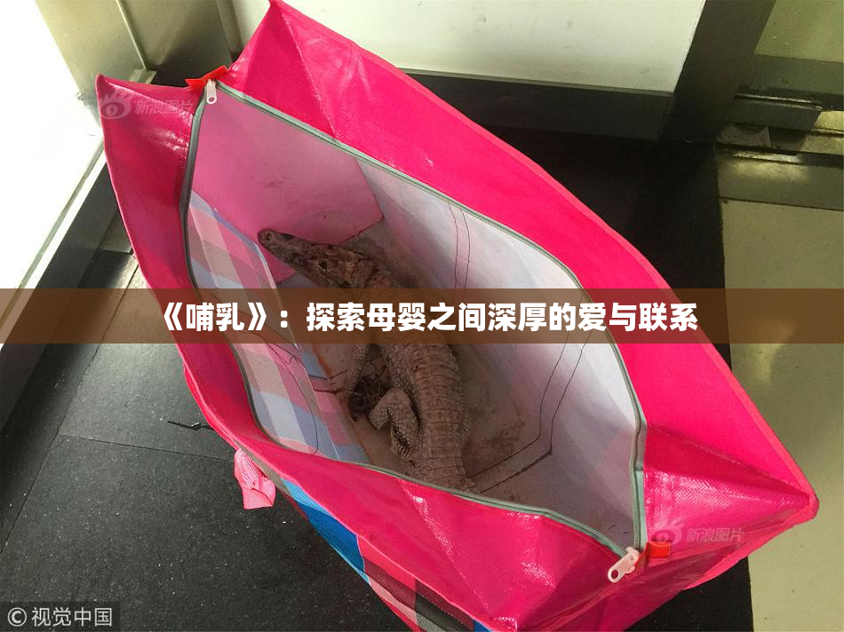 《哺乳》：探索母婴之间深厚的爱与联系