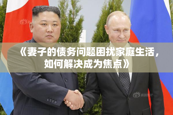《妻子的债务问题困扰家庭生活，如何解决成为焦点》
