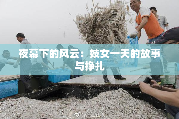 夜幕下的风云：妓女一天的故事与挣扎