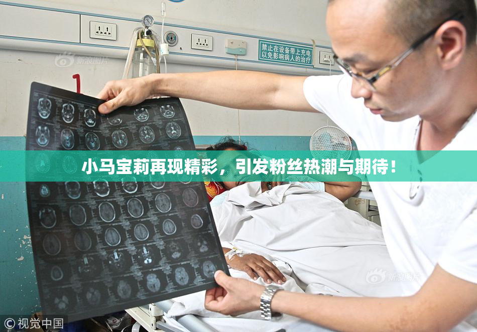 小马宝莉再现精彩，引发粉丝热潮与期待！