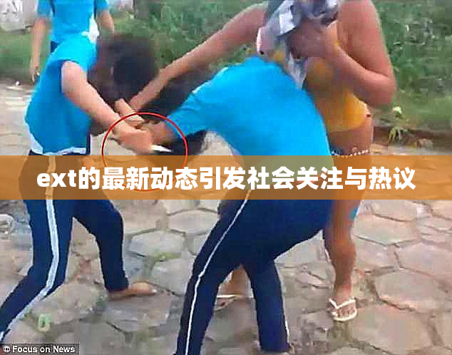 ext的最新动态引发社会关注与热议