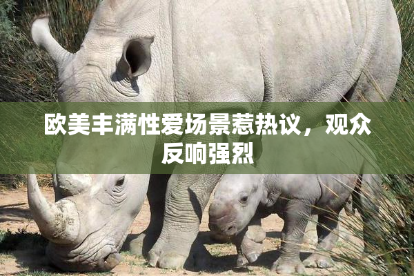 欧美丰满性爱场景惹热议，观众反响强烈