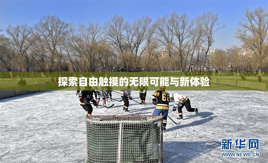 探索自由触摸的无限可能与新体验
