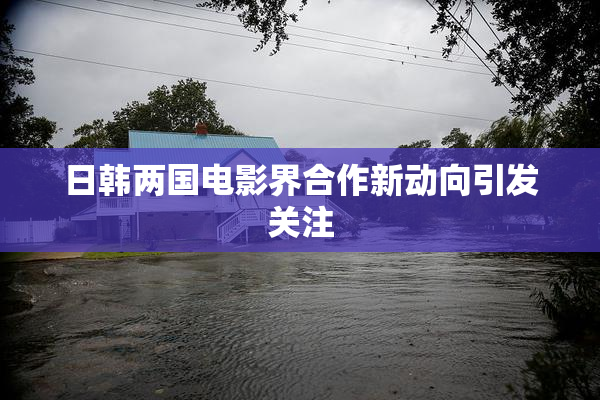 日韩两国电影界合作新动向引发关注