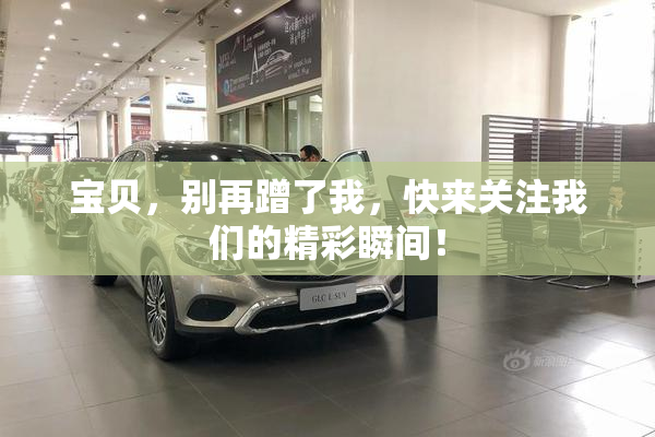 宝贝，别再蹭了我，快来关注我们的精彩瞬间！