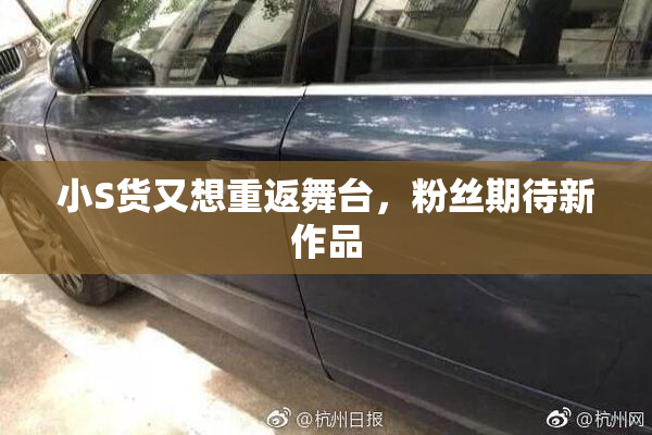 小S货又想重返舞台，粉丝期待新作品