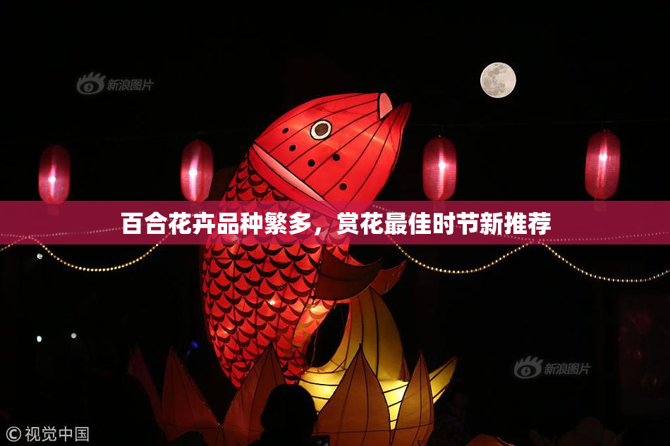 百合花卉品种繁多，赏花最佳时节新推荐