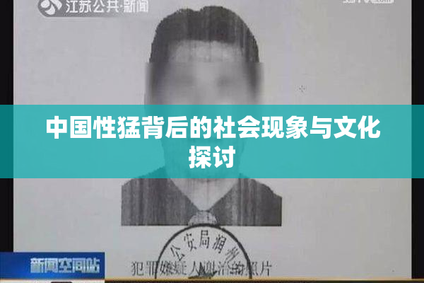 中国性猛背后的社会现象与文化探讨