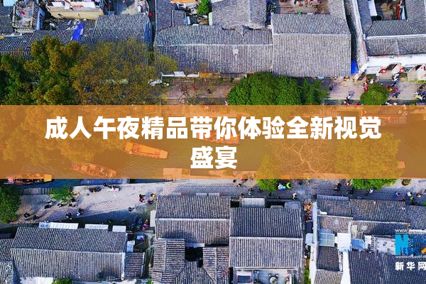 成人午夜精品带你体验全新视觉盛宴
