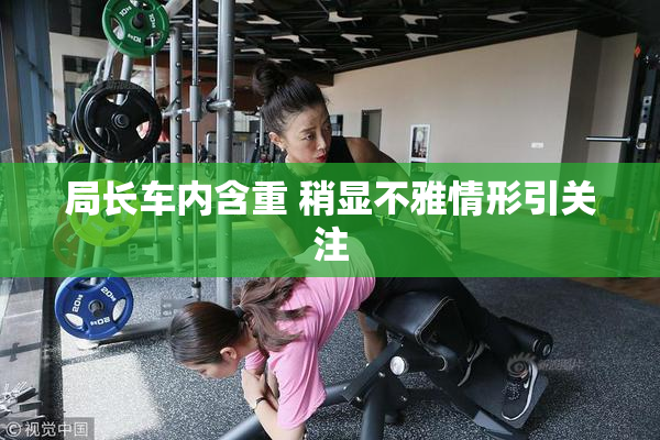 局长车内含重 稍显不雅情形引关注