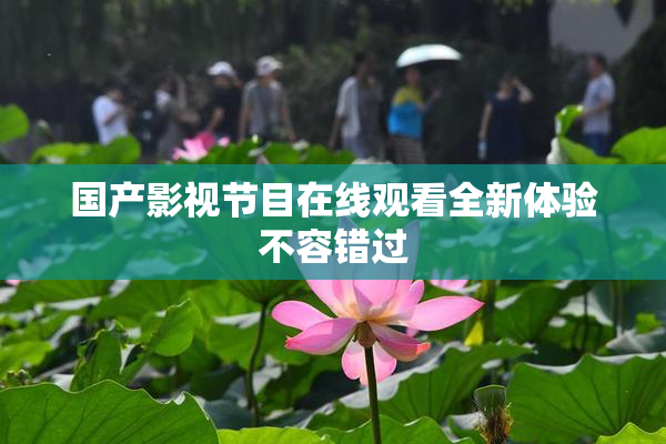 国产影视节目在线观看全新体验不容错过