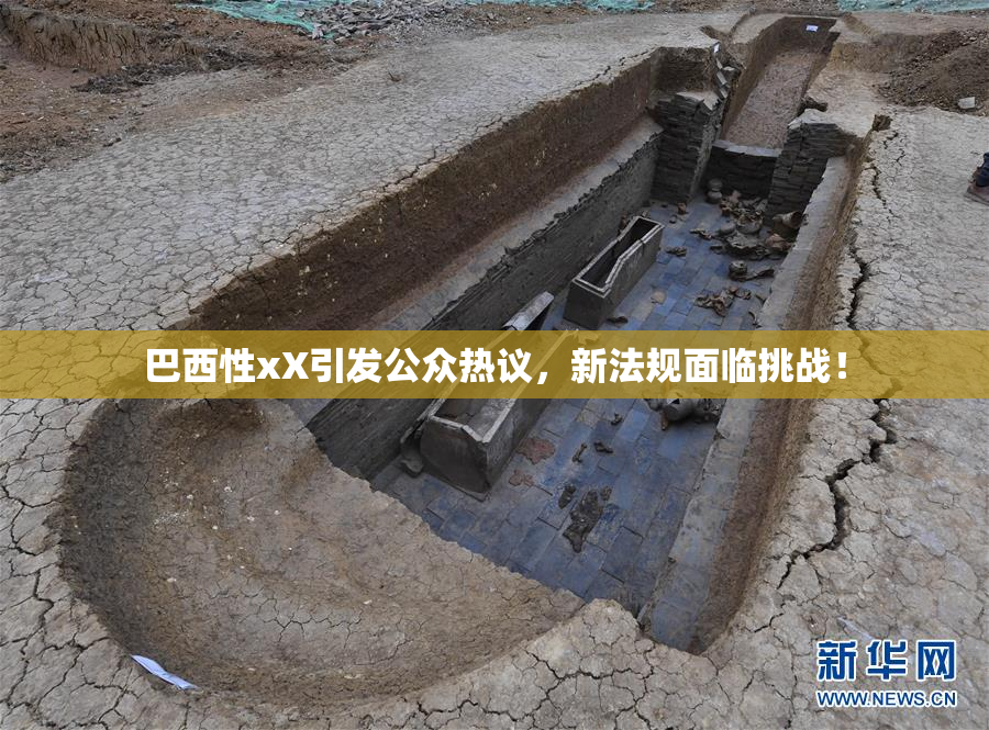 巴西性xX引发公众热议，新法规面临挑战！