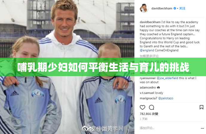 哺乳期少妇如何平衡生活与育儿的挑战