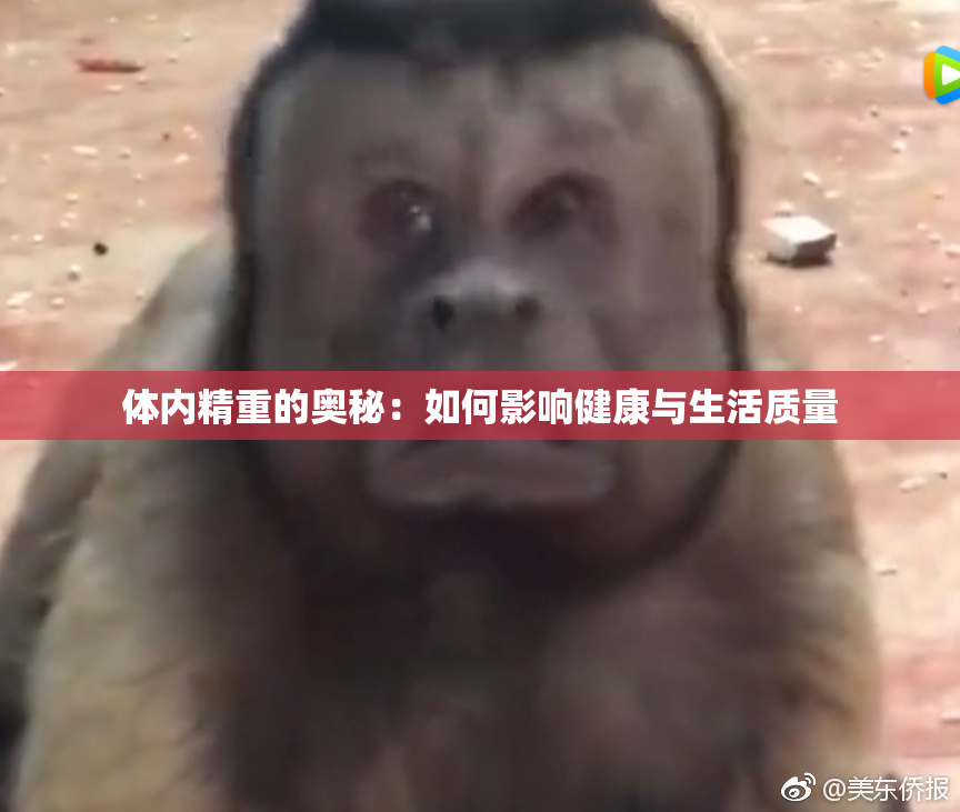 体内精重的奥秘：如何影响健康与生活质量