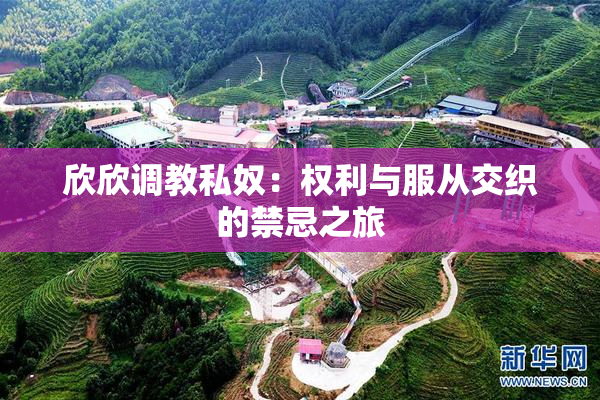 欣欣调教私奴：权利与服从交织的禁忌之旅