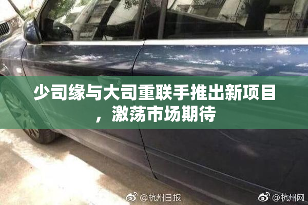 少司缘与大司重联手推出新项目，激荡市场期待