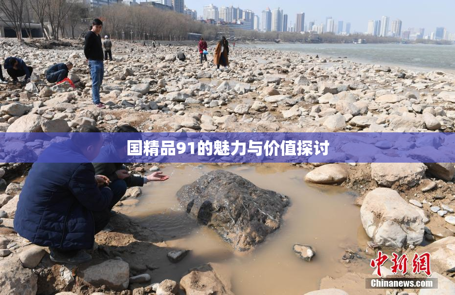国精品91的魅力与价值探讨