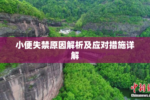 小便失禁原因解析及应对措施详解