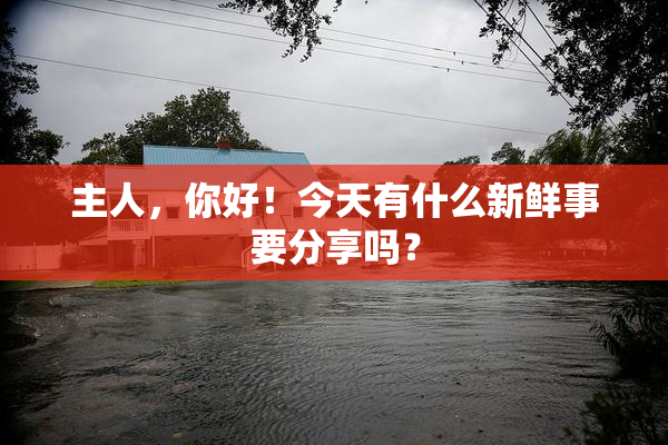 主人，你好！今天有什么新鲜事要分享吗？