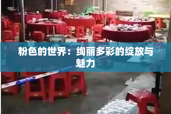 粉色的世界：绚丽多彩的绽放与魅力