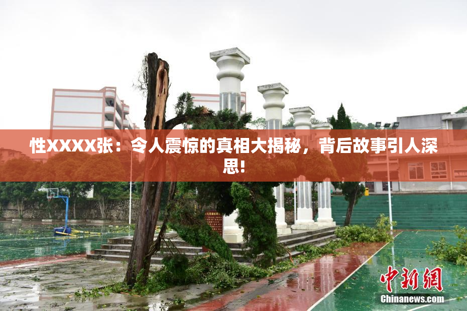 性XXXX张：令人震惊的真相大揭秘，背后故事引人深思!