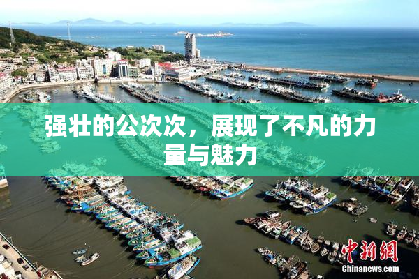 强壮的公次次，展现了不凡的力量与魅力