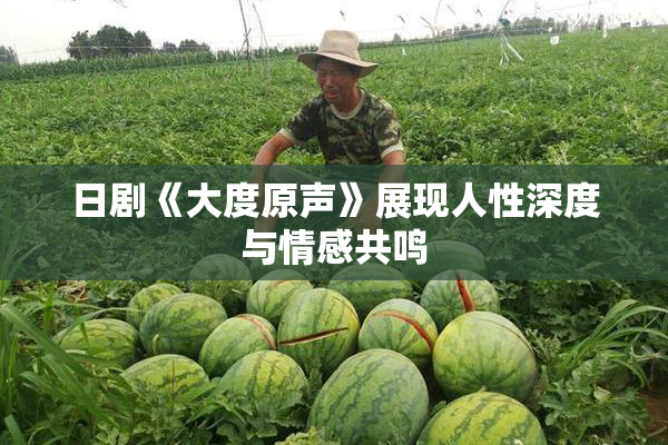 日剧《大度原声》展现人性深度与情感共鸣