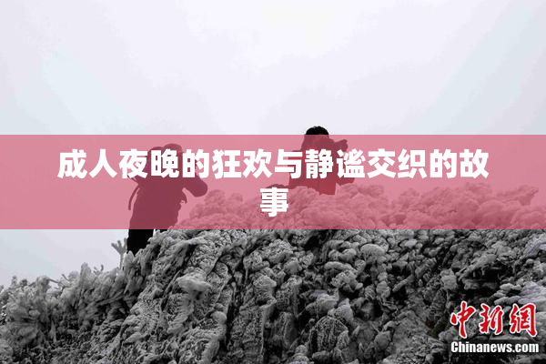成人夜晚的狂欢与静谧交织的故事