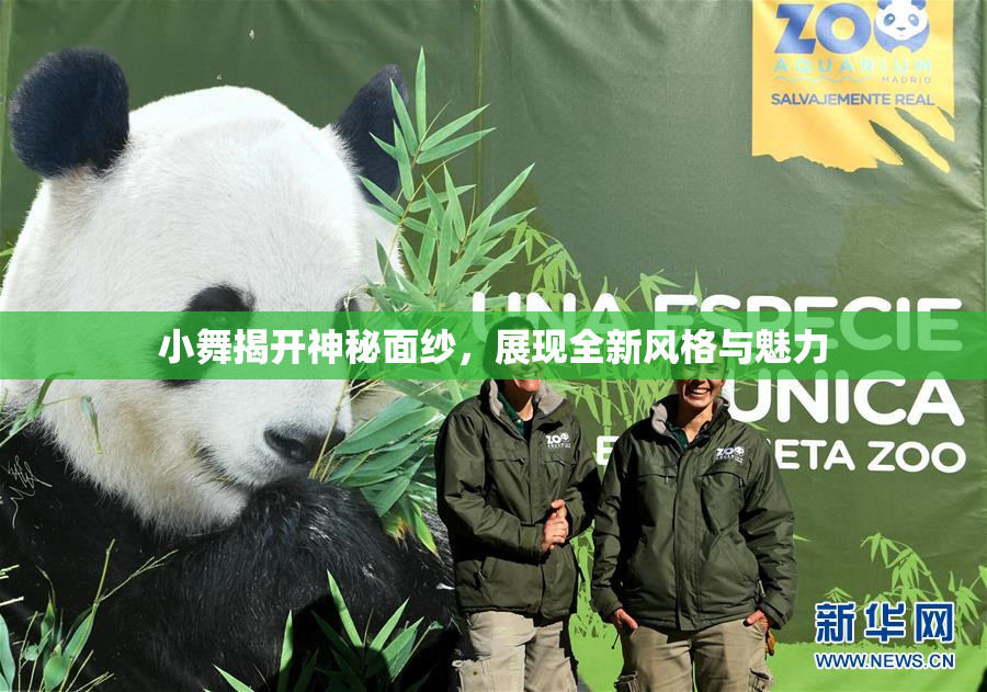 小舞揭开神秘面纱，展现全新风格与魅力