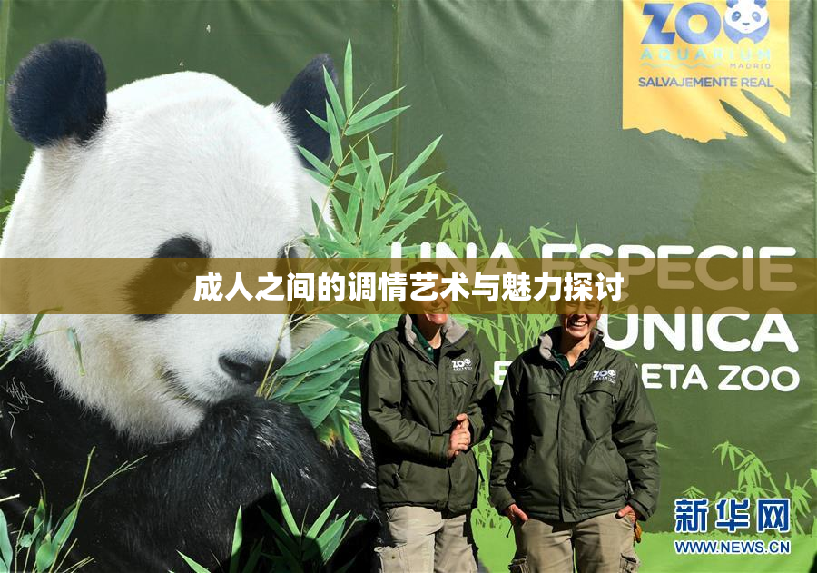 成人之间的调情艺术与魅力探讨