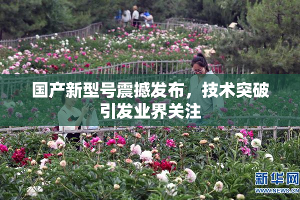 国产新型号震撼发布，技术突破引发业界关注
