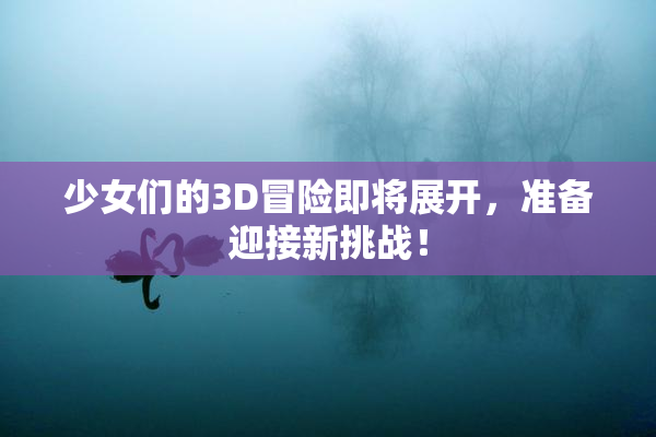 少女们的3D冒险即将展开，准备迎接新挑战！