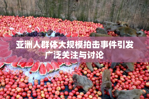 亚洲人群体大规模拍击事件引发广泛关注与讨论