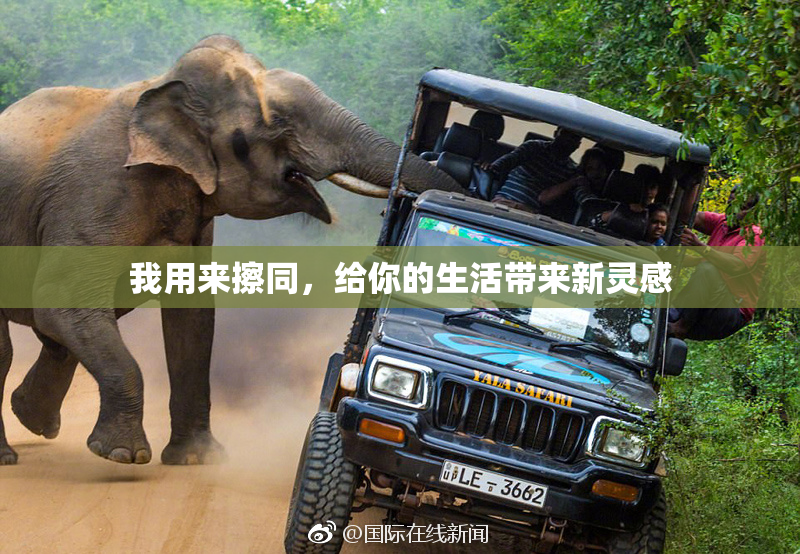 我用来擦同，给你的生活带来新灵感
