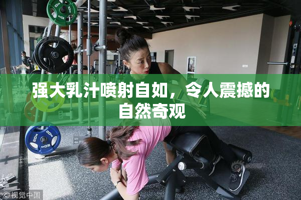 强大乳汁喷射自如，令人震撼的自然奇观