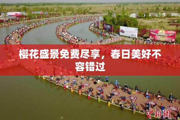 樱花盛景免费尽享，春日美好不容错过