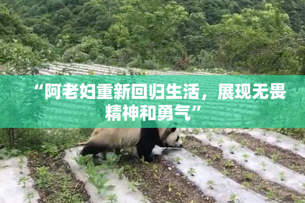 “阿老妇重新回归生活，展现无畏精神和勇气”