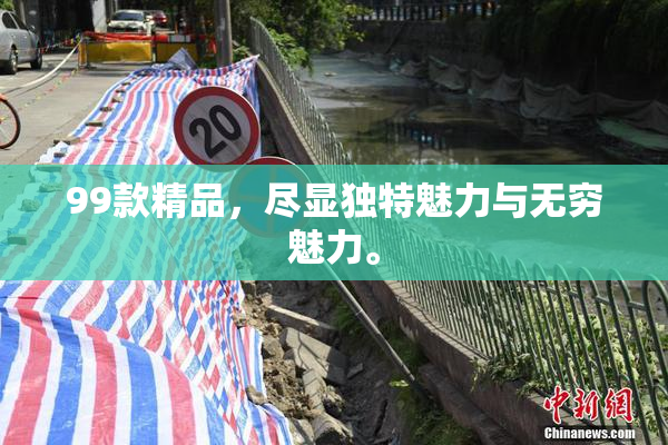 99款精品，尽显独特魅力与无穷魅力。
