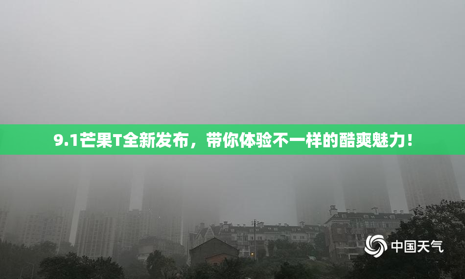 9.1芒果T全新发布，带你体验不一样的酷爽魅力！