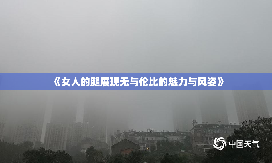 《女人的腿展现无与伦比的魅力与风姿》