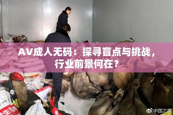 AV成人无码：探寻盲点与挑战，行业前景何在？