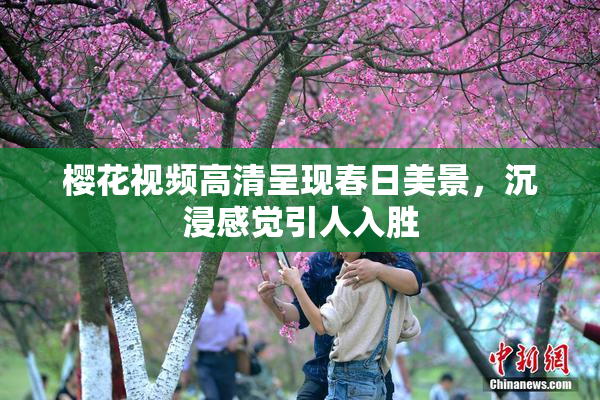 樱花视频高清呈现春日美景，沉浸感觉引人入胜