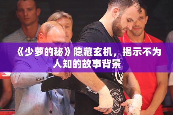 《少萝的秘》隐藏玄机，揭示不为人知的故事背景