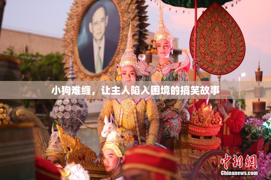 小狗难缠，让主人陷入困境的搞笑故事