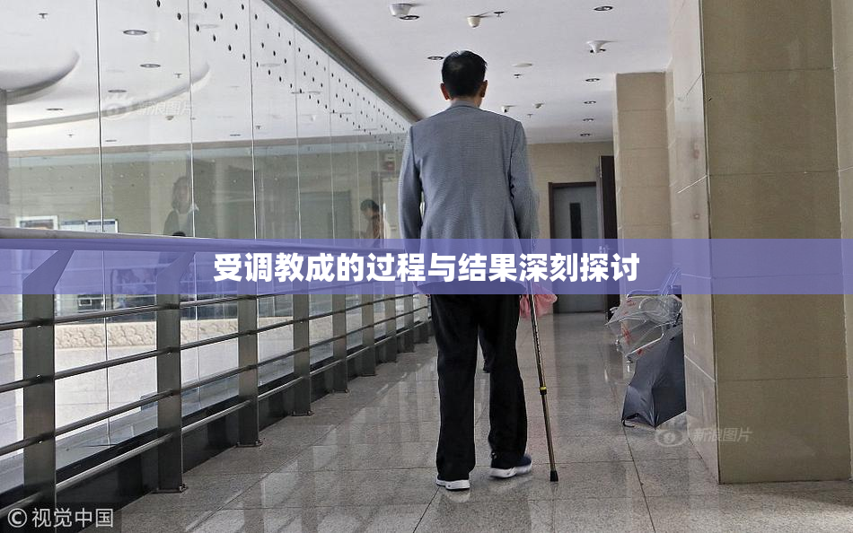受调教成的过程与结果深刻探讨