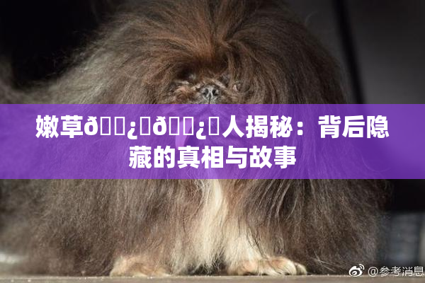 嫩草🌿‌🌿‌人揭秘：背后隐藏的真相与故事