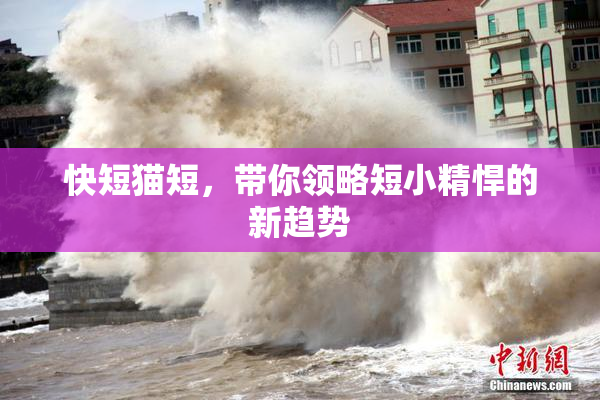 快短猫短，带你领略短小精悍的新趋势