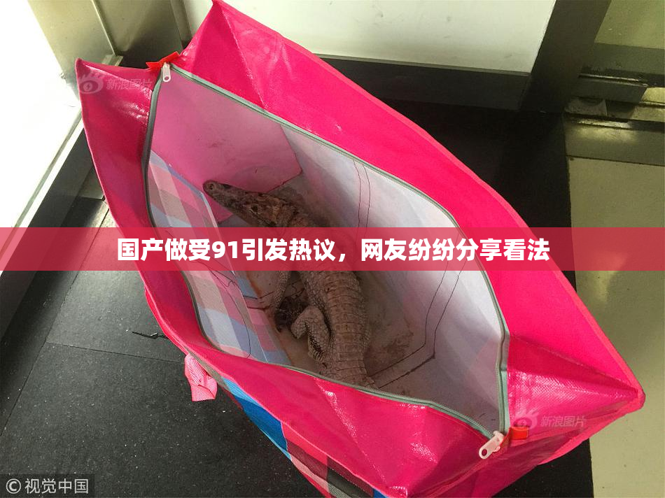 国产做受91引发热议，网友纷纷分享看法